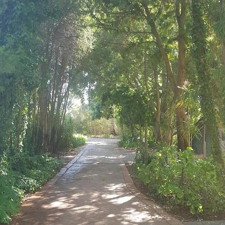 Te Amo Guesthouse Stellenbosch Ngoại thất bức ảnh