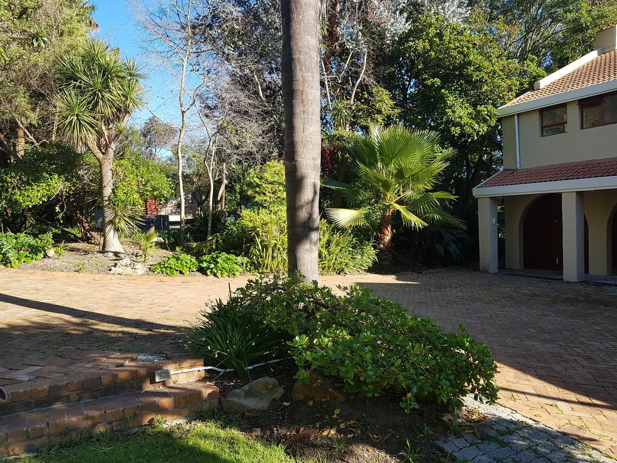 Te Amo Guesthouse Stellenbosch Ngoại thất bức ảnh