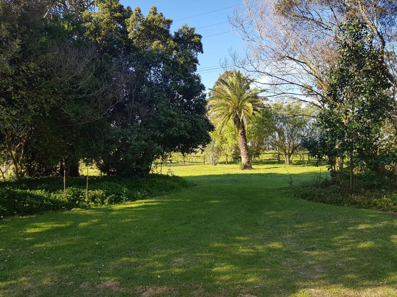 Te Amo Guesthouse Stellenbosch Ngoại thất bức ảnh
