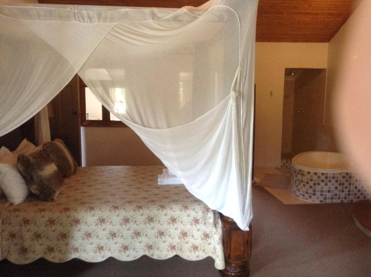 Te Amo Guesthouse Stellenbosch Ngoại thất bức ảnh