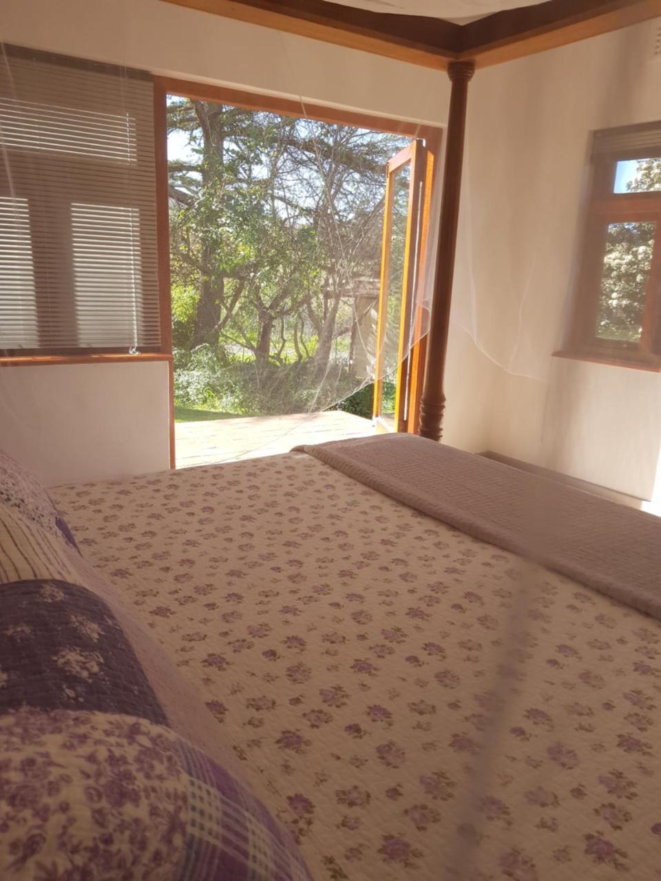 Te Amo Guesthouse Stellenbosch Ngoại thất bức ảnh
