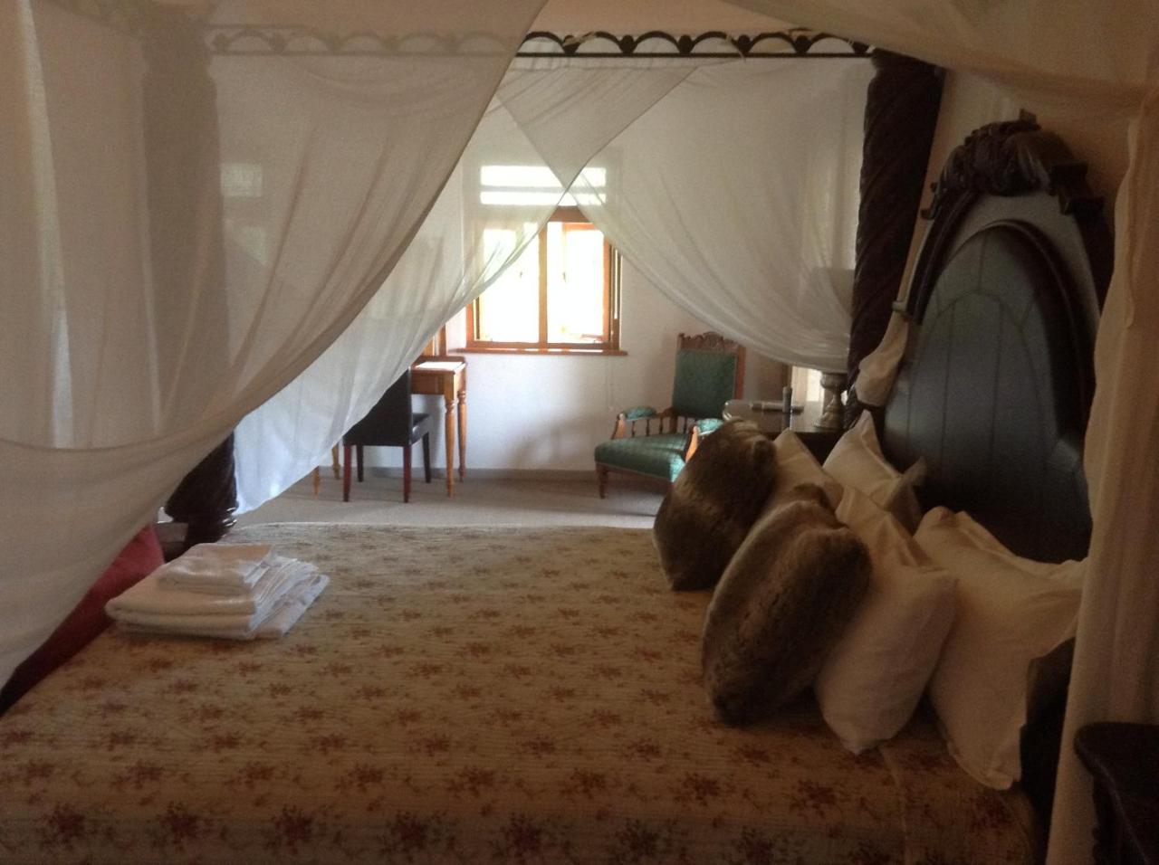 Te Amo Guesthouse Stellenbosch Ngoại thất bức ảnh
