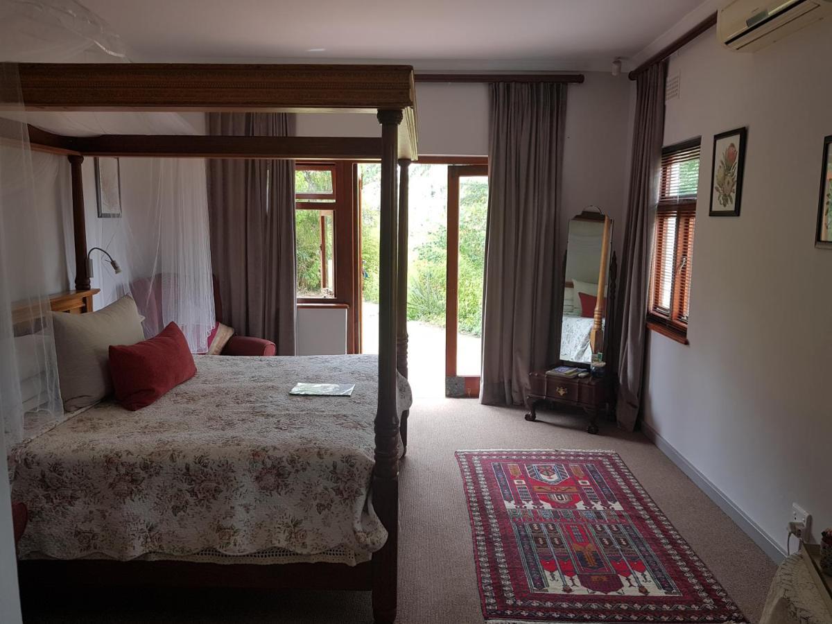 Te Amo Guesthouse Stellenbosch Ngoại thất bức ảnh