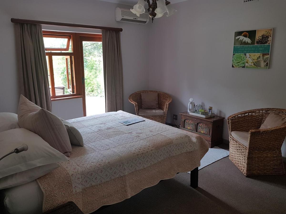 Te Amo Guesthouse Stellenbosch Ngoại thất bức ảnh